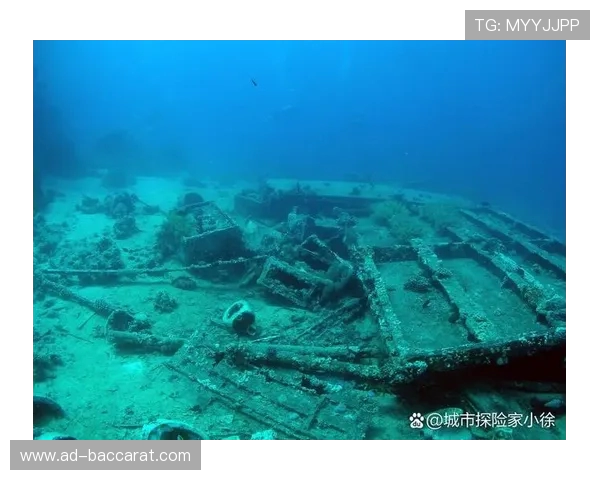 夺宝奇兵游戏图书馆地宫入口探秘揭示神秘遗址的历史与挑战 夺宝奇兵游戏图书馆地宫入口探秘揭示神秘遗址的历史与挑战